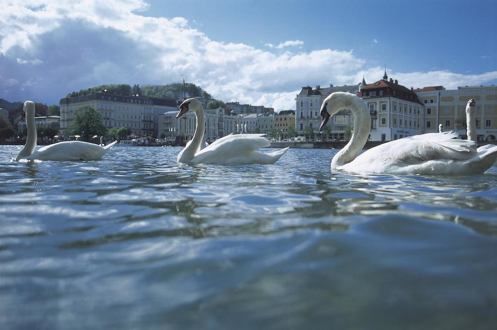 Landhotel Gruenberg Am See Gmunden Esterno foto